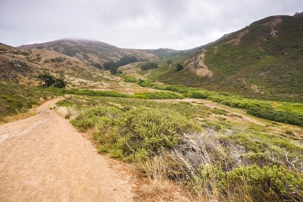 Nuits en mer : Activités et expériences nocturnes exclusives